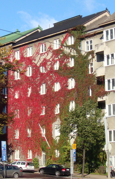 Katujulkisivu - As Oy Kivel�nkatu 1 b